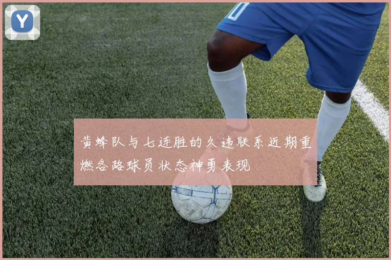 黄蜂队与七连胜的久违联系近期重燃各路球员状态神勇表现